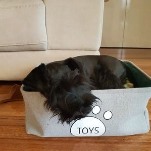 Meet your Posher, Debbie